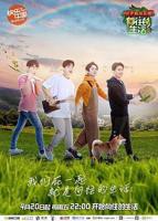 《向往的生活第二季》综艺在线观看-全集大陆综艺