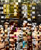 《鸭王》HD国语版高清资源免费在线播放 - 