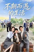 《不期而遇的生活》高清完整版 电视剧免费在线观看