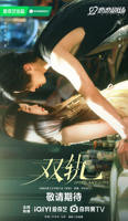 电视剧《双轨》全集高清完整版免费在线观看
