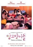 雌猫们-HD高清完整版-免费在线观看