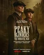 《浴血黑帮第六季》电视剧全集在线观看_免费播放