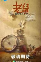 老舅电视剧全集免费观看高清