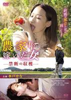 《禁忌之果》大结局