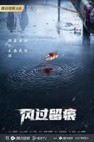 《风过留痕》完整版-国产剧-《风过留痕》在线观看