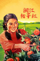 桔子影院在线观看免费高清电视剧