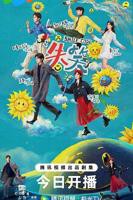 电视剧《失笑》在线免费观看(2026/完整版)-连续剧